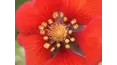 Gardeners' World