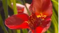 Gardeners' World