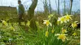 Gardeners' World