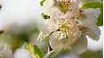 Gardeners' World