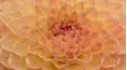 Gardeners' World