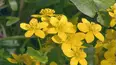 Gardeners' World