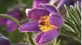 Gardeners' World