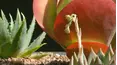 Gardeners' World