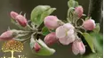 Gardeners' World