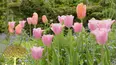 Gardeners' World
