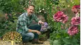 Gardeners' World