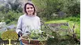 Gardeners' World