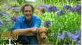 Gardeners' World
