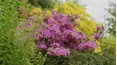 Gardeners' World