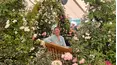 Gardeners' World