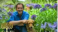 Gardeners' World