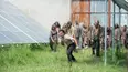The Walking Dead