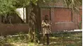 The Walking Dead