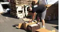 Storage Wars