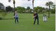 School of Golf