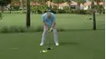 School of Golf