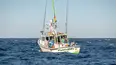 Wicked Tuna