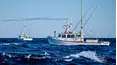 Wicked Tuna