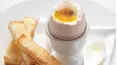 Martha Stewart's Cooking School