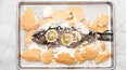 Martha Stewart's Cooking School