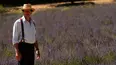 Monty Don's French Gardens