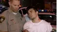 Cops Reloaded