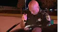 Cops Reloaded