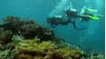 Great Barrier Reef