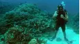 Great Barrier Reef