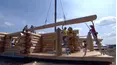 Timber Kings