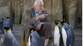 David Attenborough's Natural Curiosities