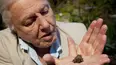 David Attenborough's Natural Curiosities