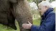 David Attenborough's Natural Curiosities