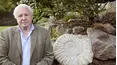 David Attenborough's Natural Curiosities