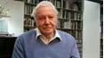 David Attenborough's Natural Curiosities