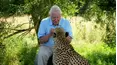 David Attenborough's Natural Curiosities