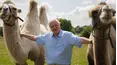David Attenborough's Natural Curiosities