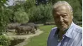 David Attenborough's Natural Curiosities