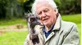 David Attenborough's Natural Curiosities