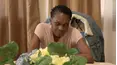 Marriage Boot Camp: Reality Stars