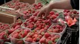 Food Markets: In the Belly of the City
