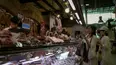 Food Markets: In the Belly of the City