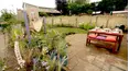 The Autistic Gardener