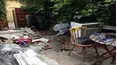The Autistic Gardener