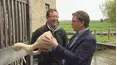 Antiques Road Trip