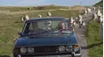 Antiques Road Trip