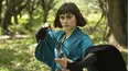 Into the Badlands