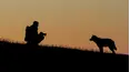 Snow Wolf Family and Me
