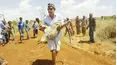 Kenya Wildlife Diaries